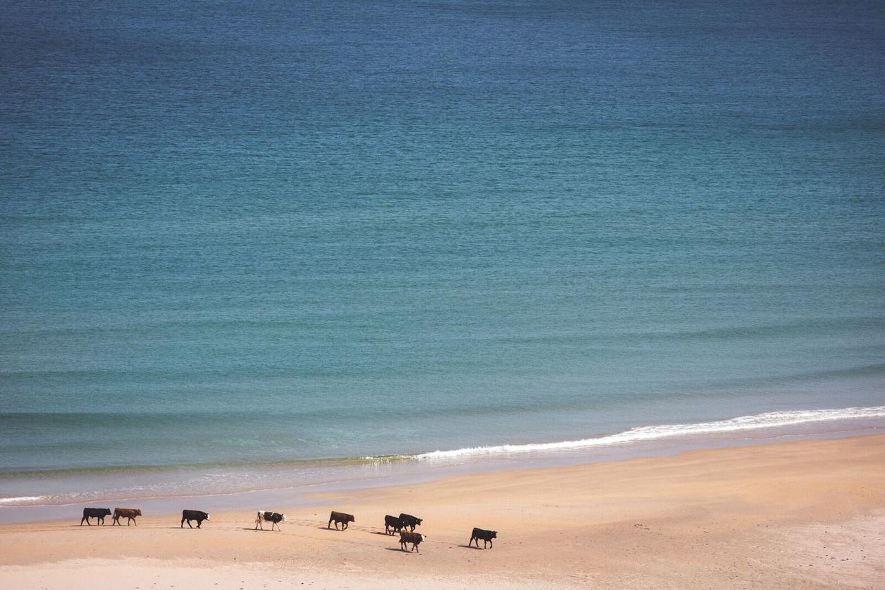 White Park Bay Youth Hostel バリントイ エクステリア 写真